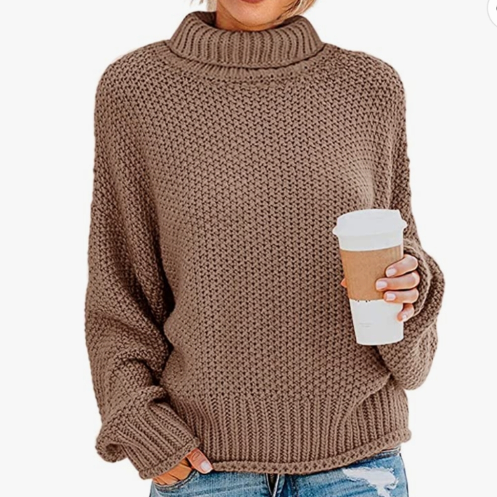 Zesica Turtleneck Knit Sweater Small